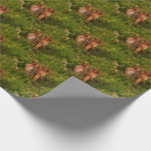 Papel De Presente Bebês Chipunes Natureza Animal
