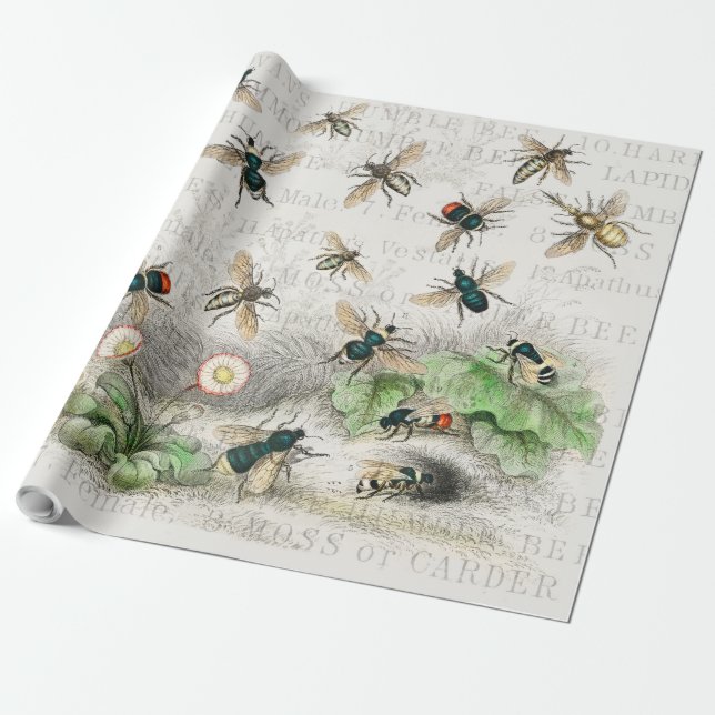 Papel De Presente Bee Honey Queen Bees Antique (Desenrolado)
