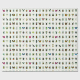 Papel De Presente Bela coleção de insetos aquarela estilo besouros