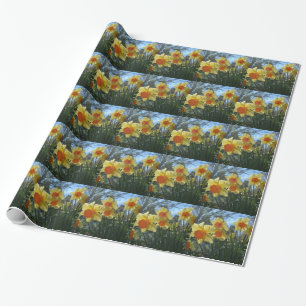 Papel De Presente Belas flores de narciso amarelo e laranja da prima