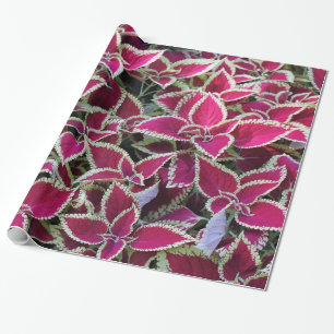 Papel De Presente belas folhas vermelhas com folhas festivas de bord
