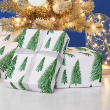 Beleza do País das Festas de inverno