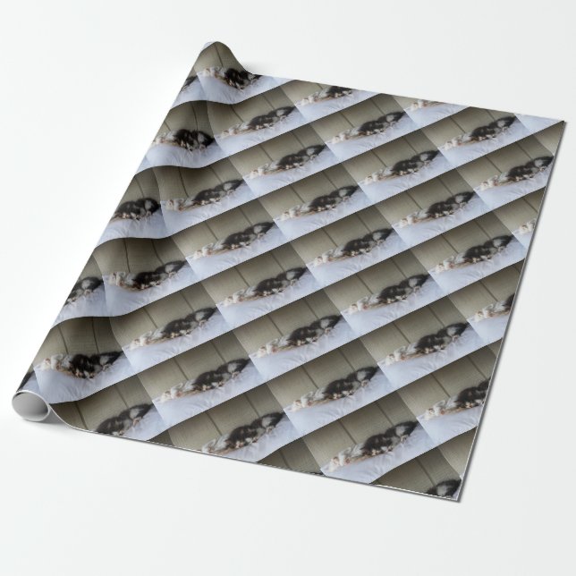 Papel De Presente Beleza Dormindo (Desenrolado)