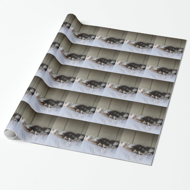 Papel De Presente Beleza Dormindo (Desenrolado)