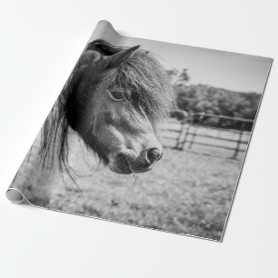 PAPEL DE PRESENTE BELO CAVALO