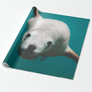 Papel De Presente Belo Leão do Mar