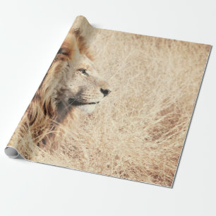 PAPEL DE PRESENTE BELO LION