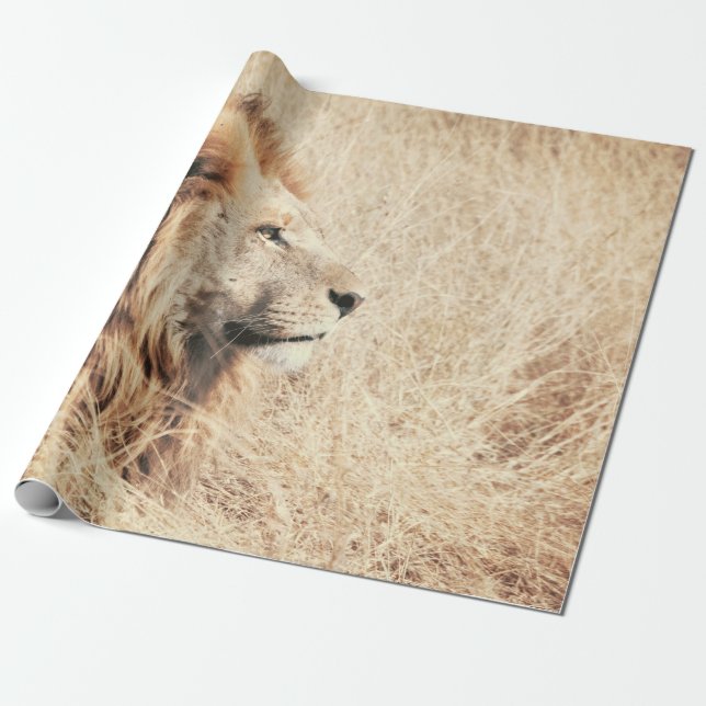 PAPEL DE PRESENTE BELO LION (Desenrolado)