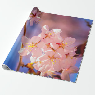 Papel De Presente Belo Monte De Flores Sakura Na Primavera