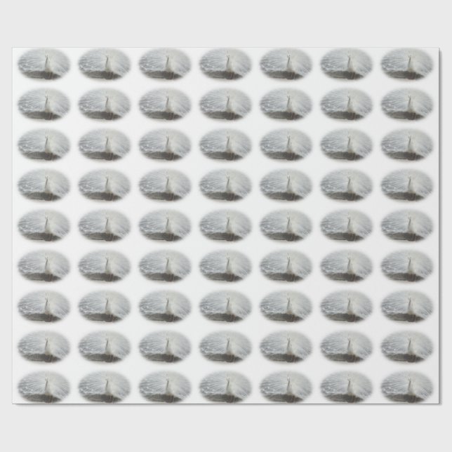 Papel De Presente Belo Pavão Branco (Aberto)