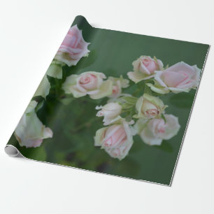 Papel De Presente Belos rosas de jardim de rosas claro