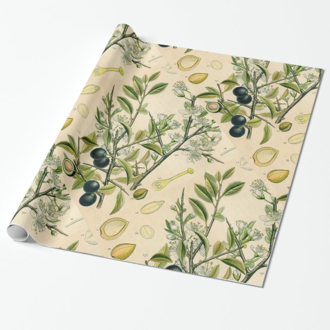 Papel De Presente Berry Impressão Botânico Antiquado Blackthorn (Desenrolado)