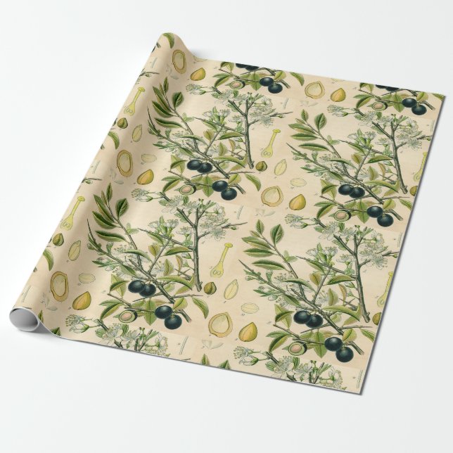Papel De Presente Berry Impressão Botânico Antiquado Blackthorn (Desenrolado)