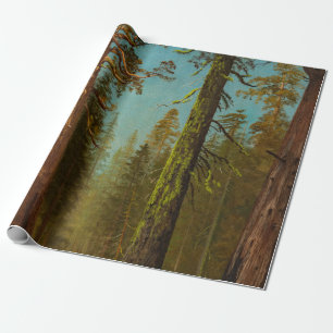 Papel De Presente Bierstadt Giant Sequoia