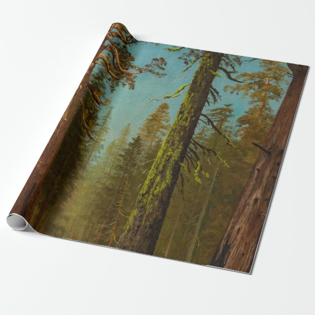 Papel De Presente Bierstadt Giant Sequoia (Desenrolado)