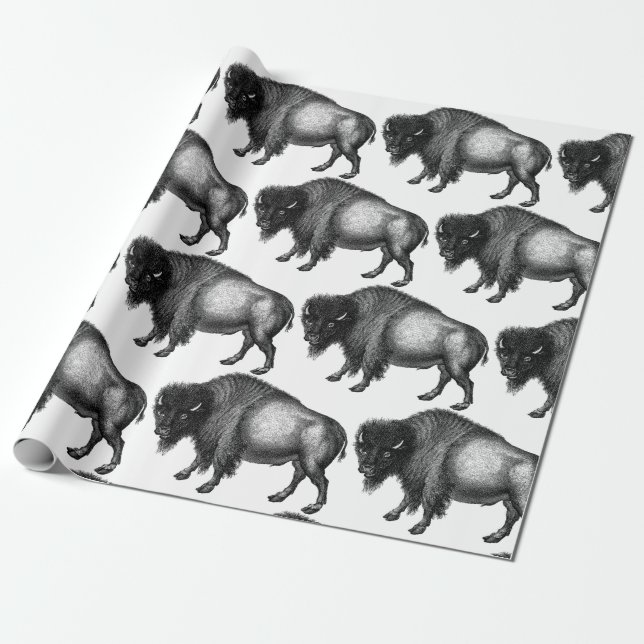 Papel De Presente Big Bison Buffalo Thunder_Cove (Desenrolado)