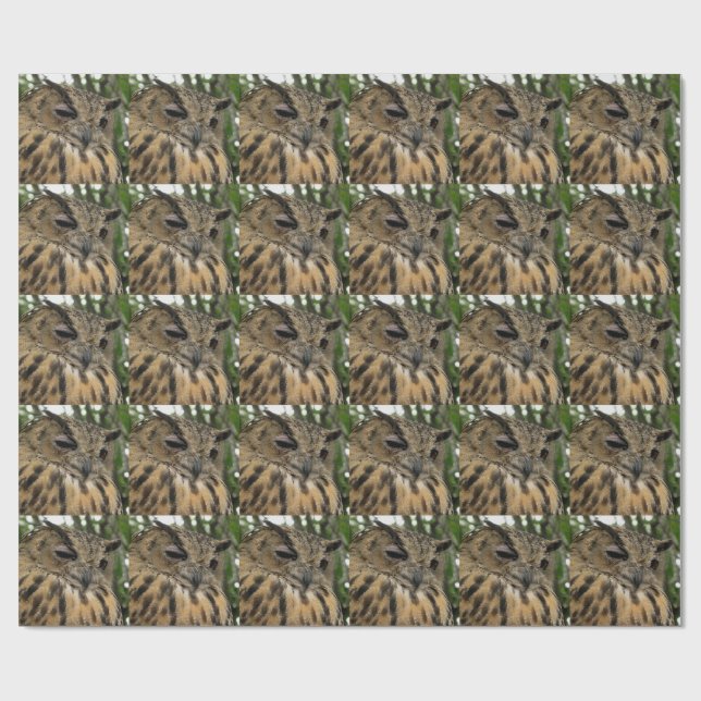 Papel De Presente Big Owl Bubo Bubo Boo - Halloween Series (Aberto)