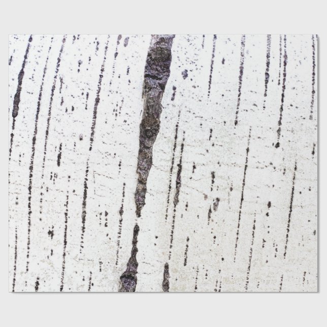 Papel De Presente Birch bark pattern (Aberto)