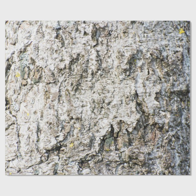 Papel De Presente Birch bark pattern (Aberto)