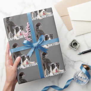 Papel De Presente Birthday Border Collie em Cinzas