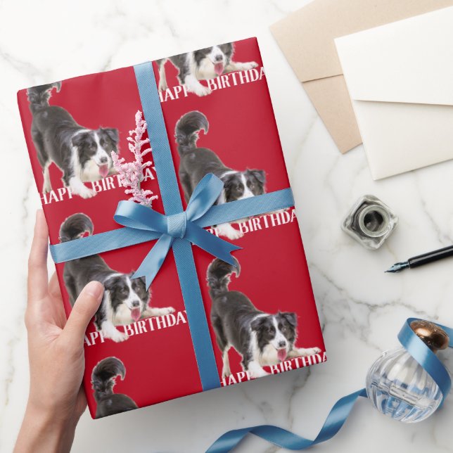Papel De Presente Birthday Border Collie em Vermelho (Presentear)