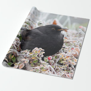 Papel De Presente Blackbird