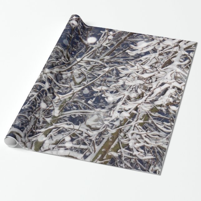 Papel De Presente Blizzard Tree Snow Coverch Branches Nature Foto (Desenrolado)