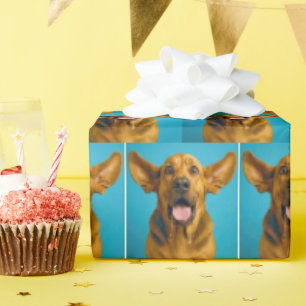 Papel De Presente Bloodhound Babando Com Expressão Surpresa