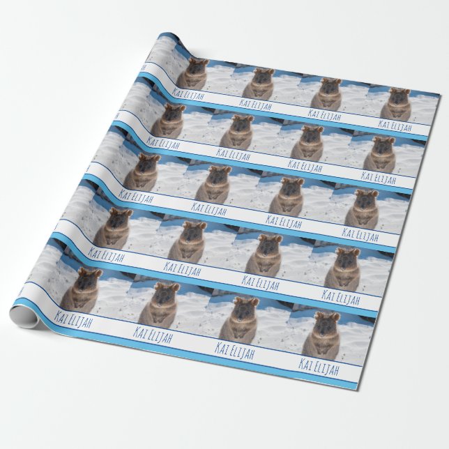Papel De Presente Blue Boys Personalizados Quokka na Praia (Desenrolado)