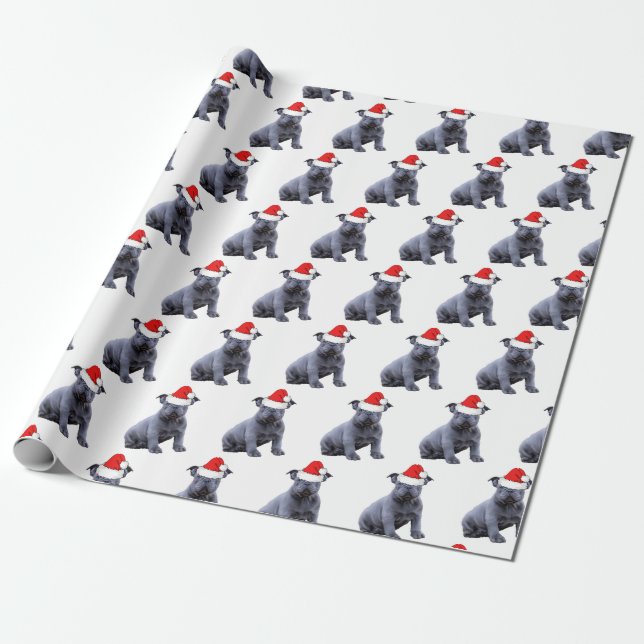 Papel De Presente Blue Frenchie Bulldog Santa Hat (Desenrolado)