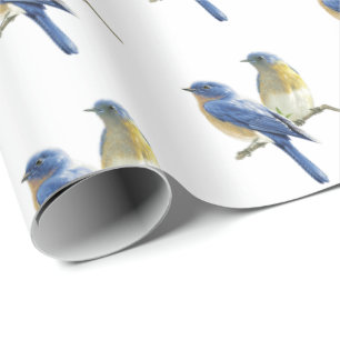 Papel De Presente Bluebird em branco