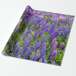 Papel De Presente Bluebonnets Blue Floral Texas Texan Elegante
