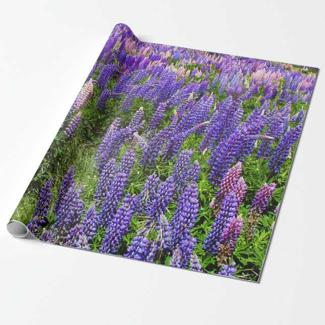Papel De Presente Bluebonnets Blue Floral Texas Texan Elegante (Desenrolado)