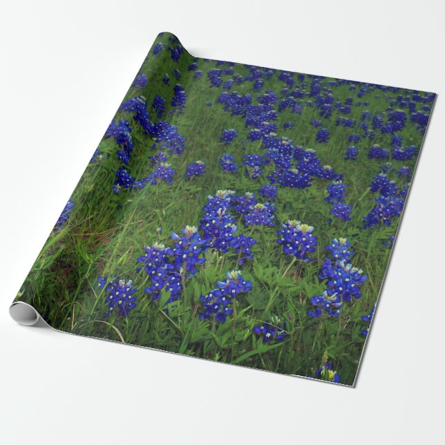 Papel De Presente Bluebonnets Blue Floral Texas Texan Elegante (Desenrolado)