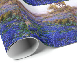 Papel De Presente Bluebonnets na Twilight, norte de San Antonio