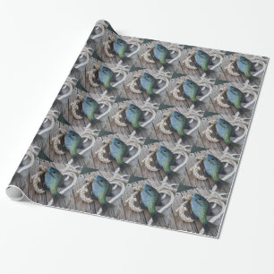 Papel De Presente bluegill no doca
