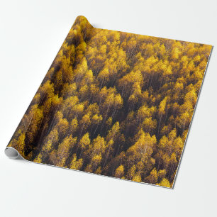 PAPEL DE PRESENTE BONITA FLORESTA DE PINOS