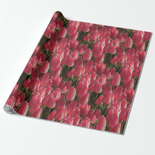 Papel De Presente Bonito Tulipas Rosa