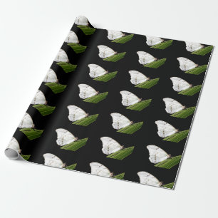 Papel De Presente Borboleta branca Morpho na folha