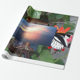 Papel De Presente Borboleta cauda de zebra