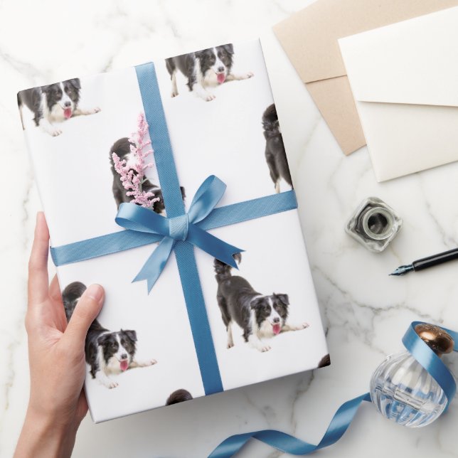 Papel De Presente Borda Collie em Branco (Presentear)