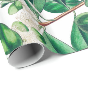 Papel De Presente Botanica
