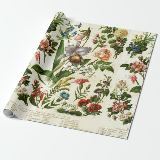 Papel De Presente Botânica da Flor