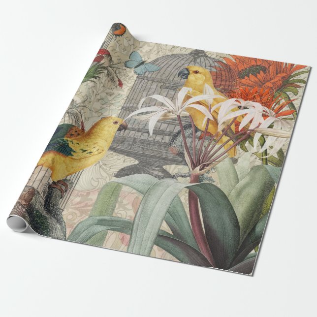 Papel De Presente Botânica Vintage de Pássaros Natureza Antiga Tropi (Desenrolado)
