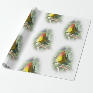 Papel De Presente botão de rosa amarelo rosa