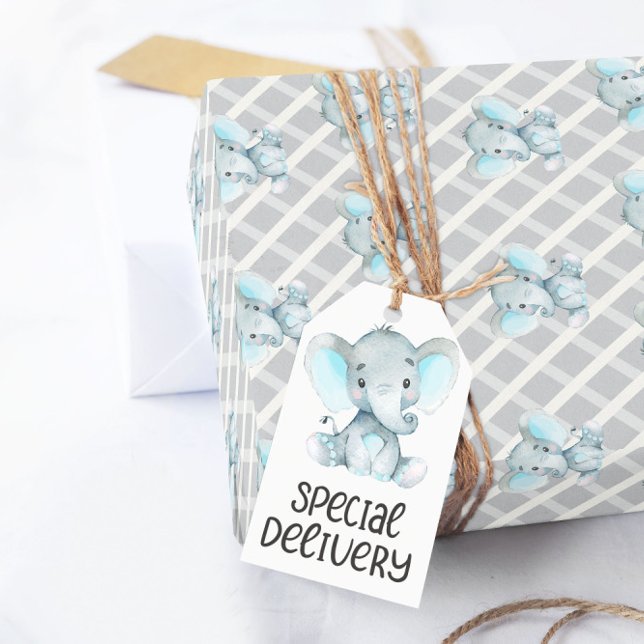 Papel De Presente Boy Elephant Baby Shower Wrapping Paper (Criador carregado)