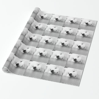 Papel De Presente Branco do cão da foto do Samoyed