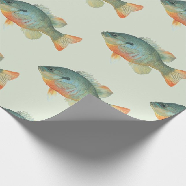 Papel De Presente Bream Bluegill Sunfish Perch Fish Gift (Ponta)