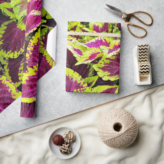 Papel De Presente Bright Coleus Leaf Design (Artesanato)