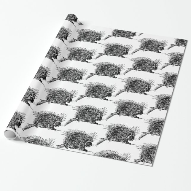 Papel De Presente Brilhante Hedgehog Thunder_Cove (Desenrolado)